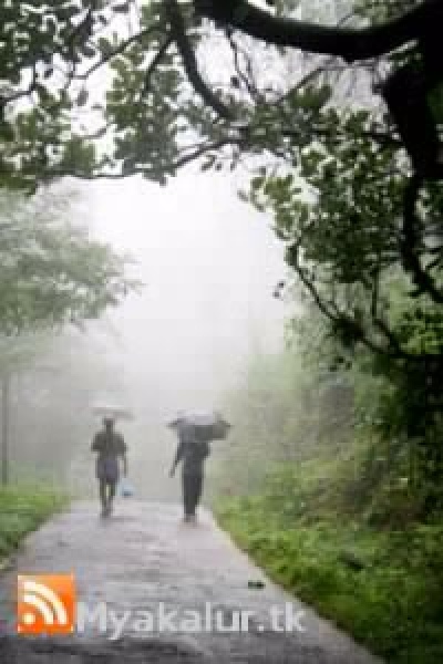 Mansson kerala