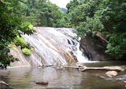 Palakkad